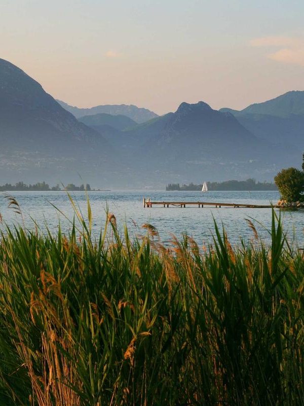 Autumn Root Vegetables Made Delicious
