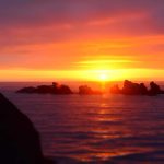 Batch Cooking for Busy Families