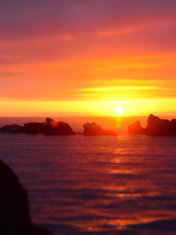 Batch Cooking for Busy Families