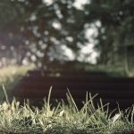 Farm-to-Plate Salads for Every Season