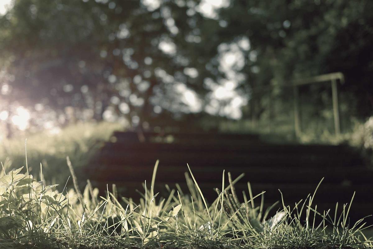 Farm-to-Plate Salads for Every Season