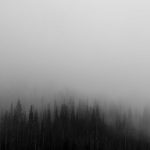 Fresh 2 Plate: Easy Weeknight Stews