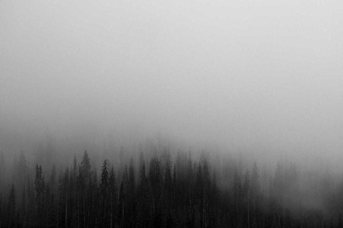 Fresh 2 Plate: Easy Weeknight Stews