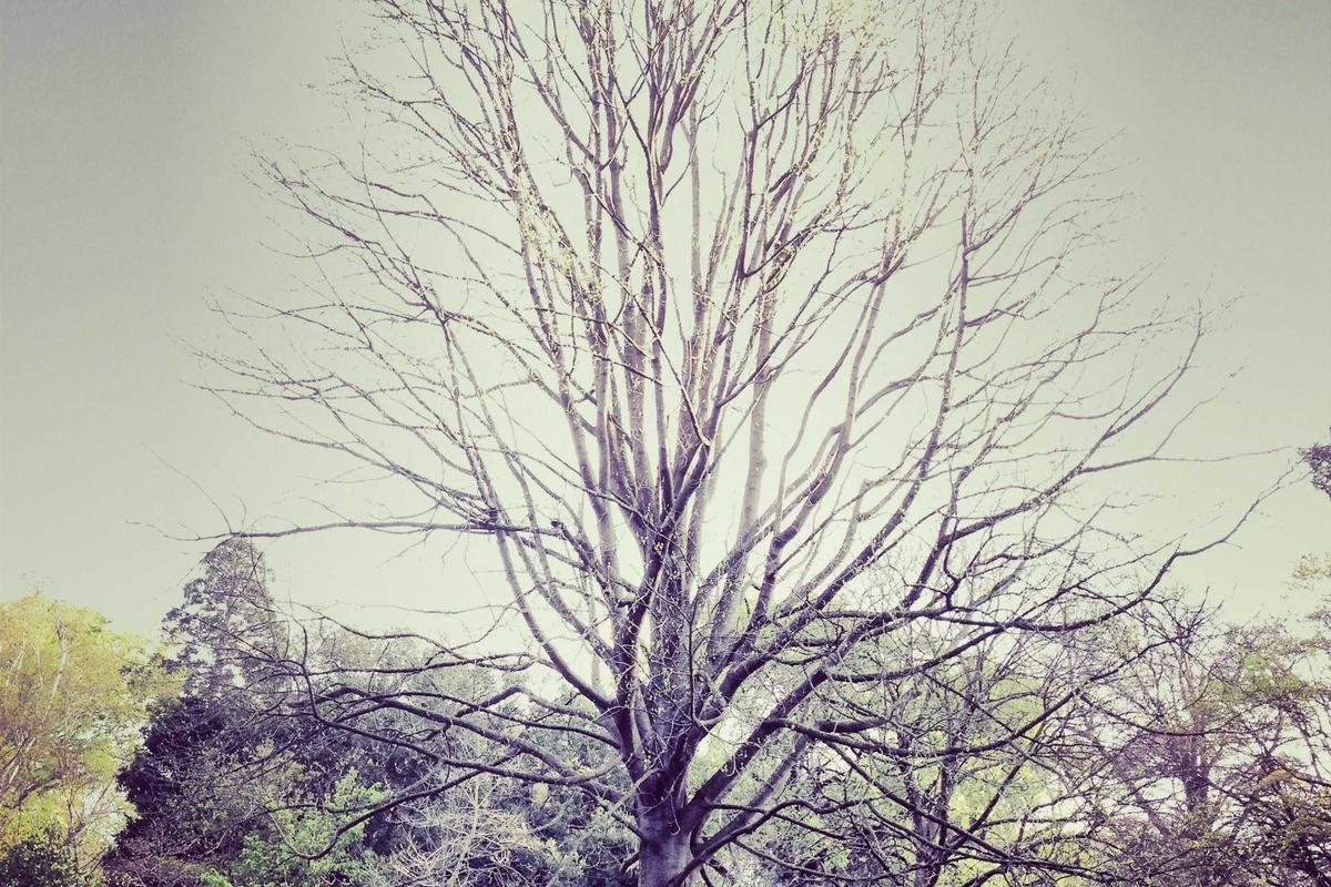 Fresh 2 Plate: Keto-Friendly Meals