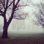 Fresh Green Smoothies for Energy