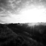 Fresh Herbs That Transform Any Dish