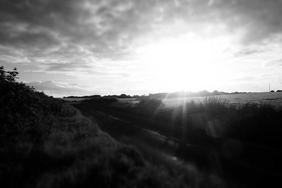 Fresh Herbs That Transform Any Dish