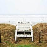 Fresh Starts: Quick Morning Recipes