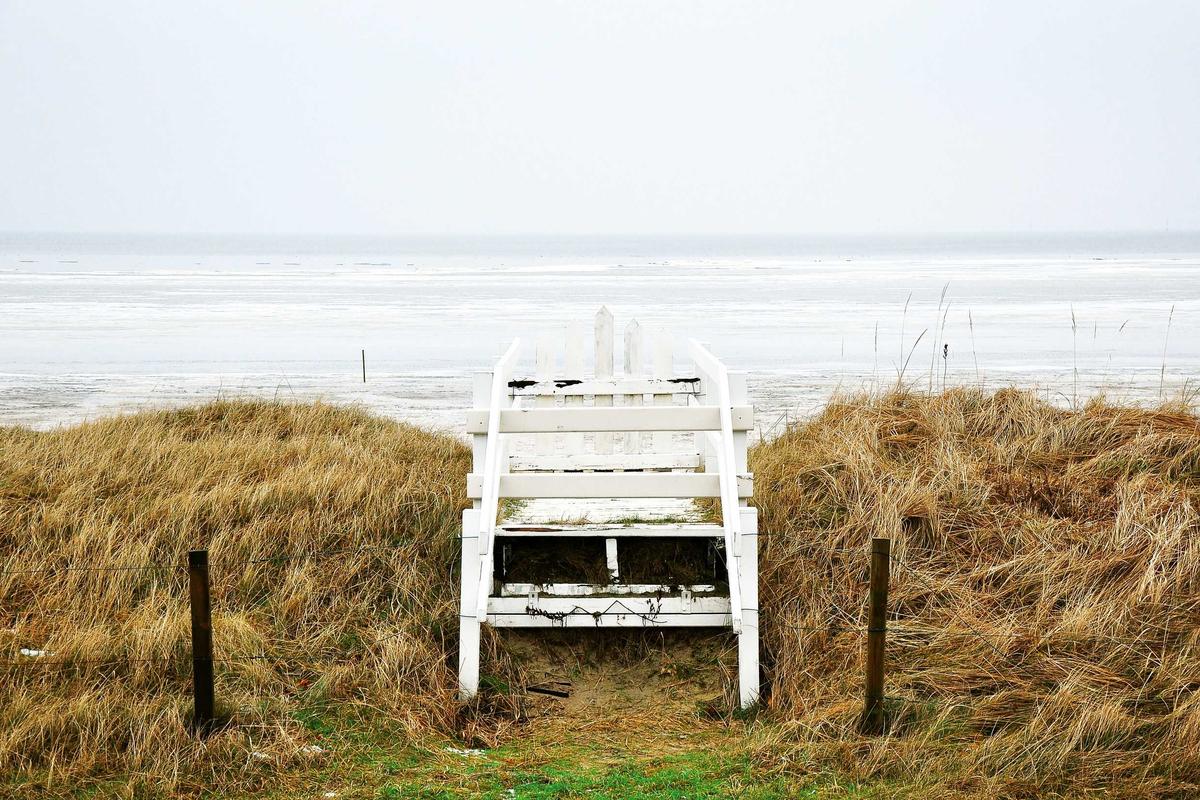 Fresh Starts: Quick Morning Recipes