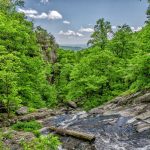 Grilled Fish Recipes for Any Season