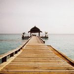 Healthy Chips and Crackers Made at Home