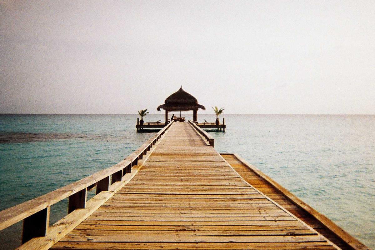 Healthy Chips and Crackers Made at Home
