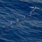 Hearty Soups That Keep You Going