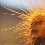 Layered Salads Perfect for Meal Prep