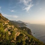 Light and Refreshing Summer Soups