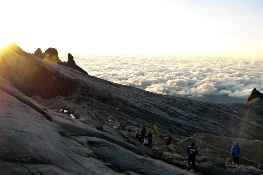 Low-Carb Dinners That Don’t Skip Freshness