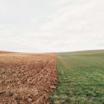 Overnight Oats for Busy Mornings