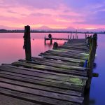 Protein-Packed Bowls That Keep You Full