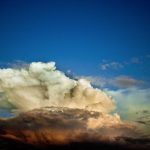 Quick Grain Bowls for Midday Energy