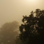 Quick Lunches Packed With Fresh Ingredients