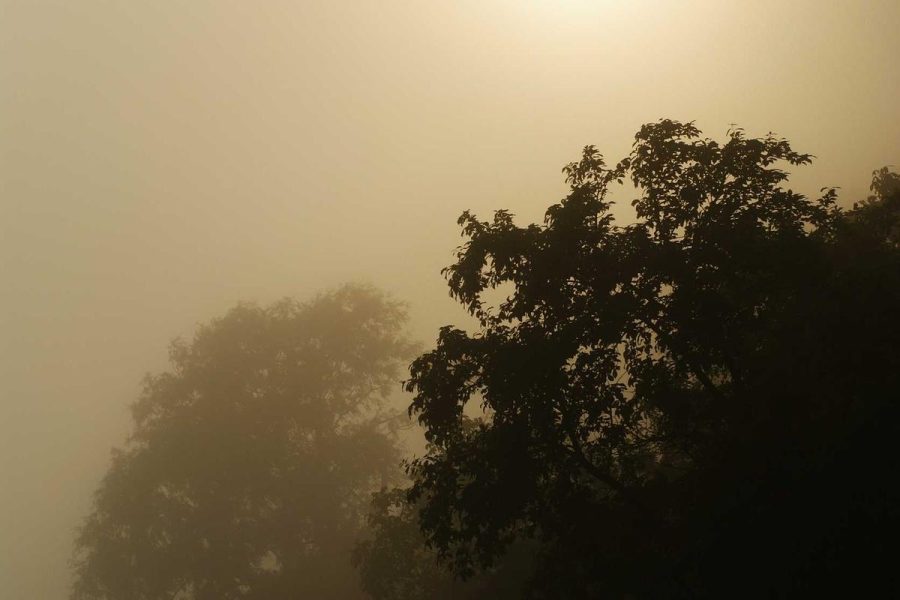 Quick Lunches Packed With Fresh Ingredients