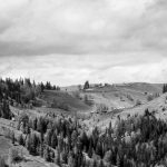 Refreshing Beverages for Hot Days