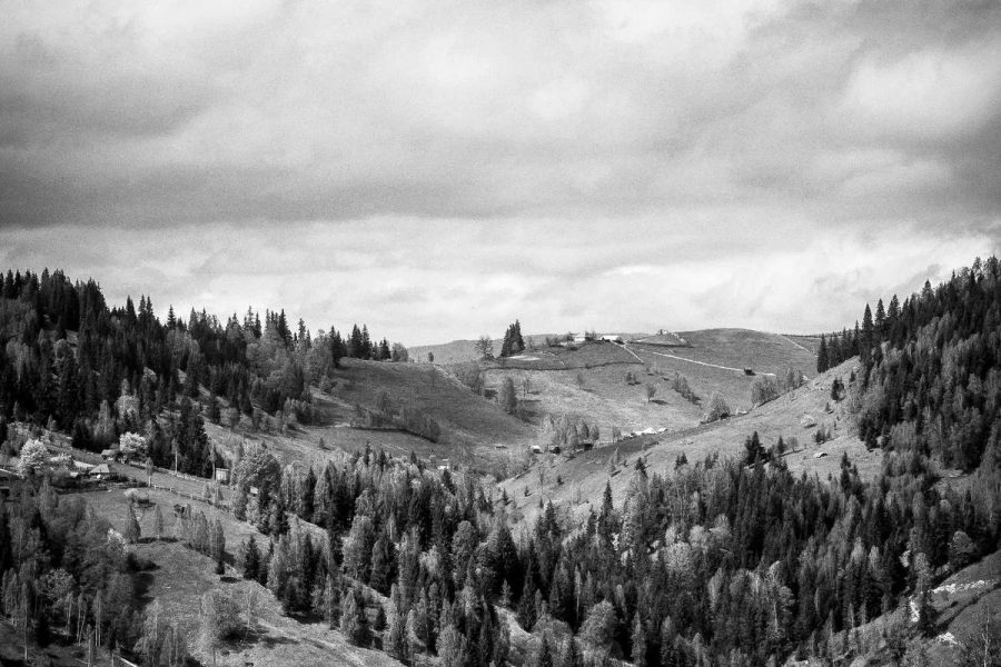 Refreshing Beverages for Hot Days