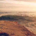 Savory Snacks That Keep You Satisfied