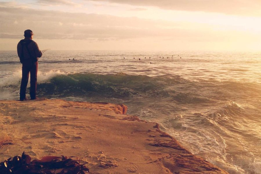 Savory Snacks That Keep You Satisfied