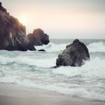 Smooth vs Chunky: Soup Textures Explained