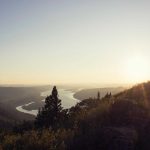 The Art of Seasoning With Fresh Herbs